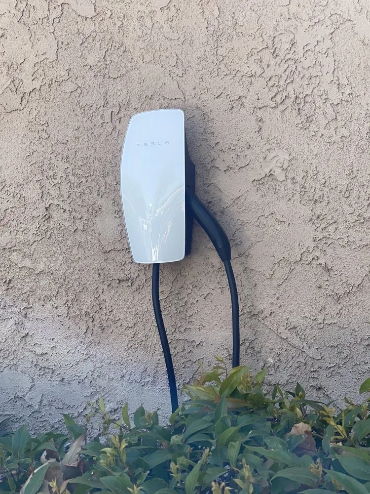 Slide of David Electric