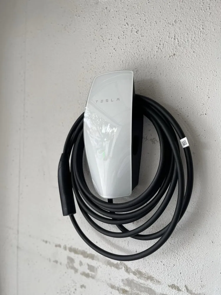 Slide of David Electric