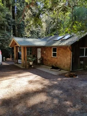 David Griffiths Construction Logo