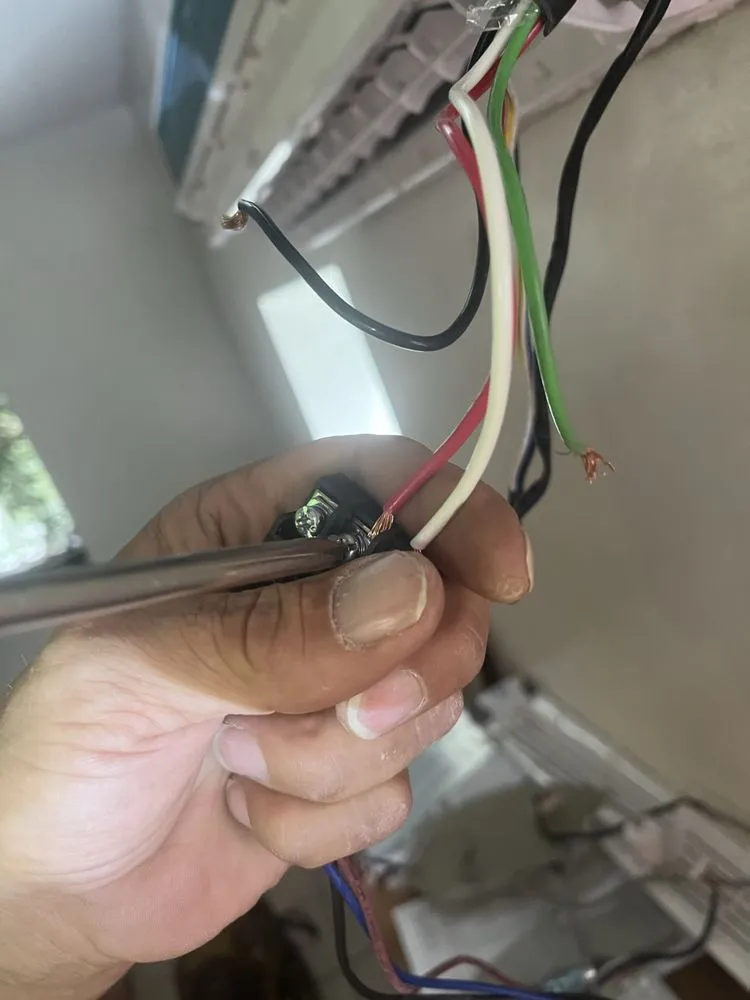 Slide of David &Jessie Blankenship