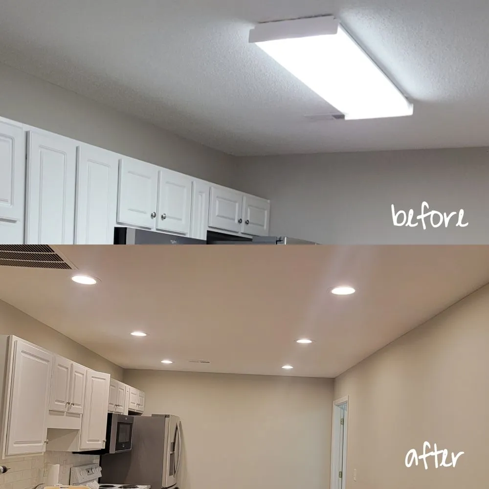 Slide of David Lovins Electric