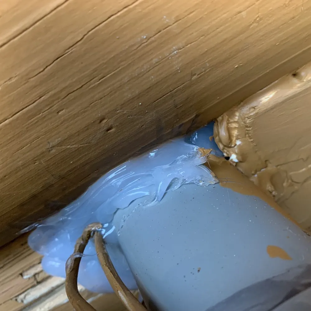 Slide of David Lovins Electric