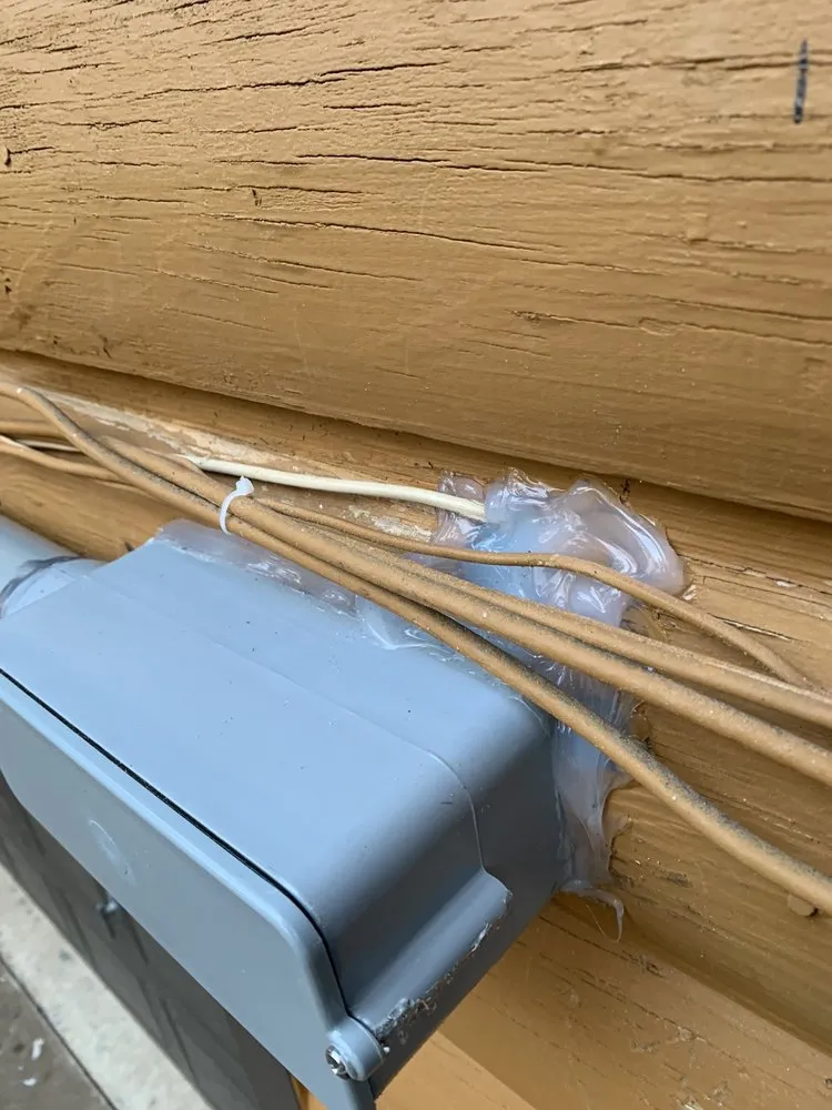 Slide of David Lovins Electric