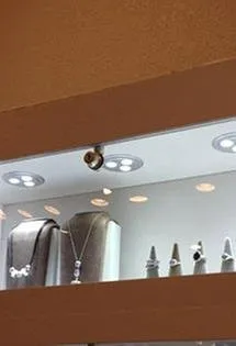 Slide of David Moore Electric