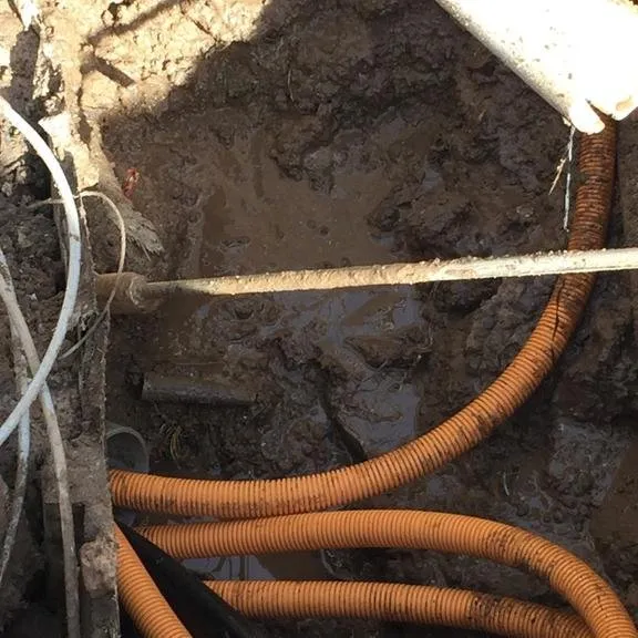 Slide of David Moore Electric