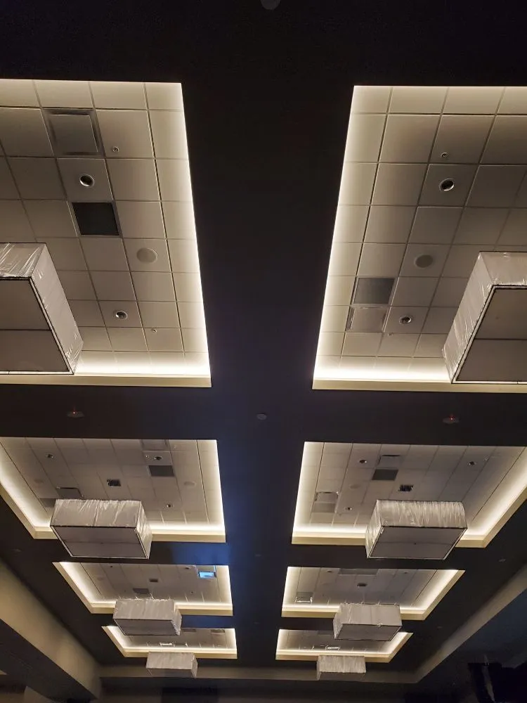 Slide of David's Electric