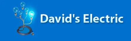 Slide of David's Electric