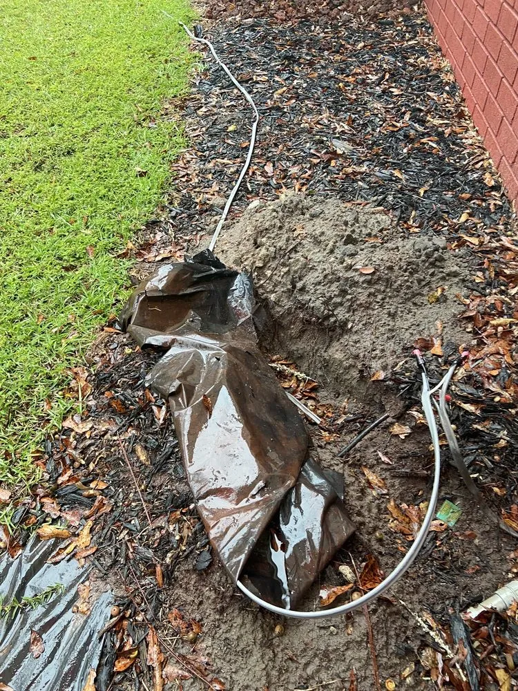 Slide of Davis B C Electric Service