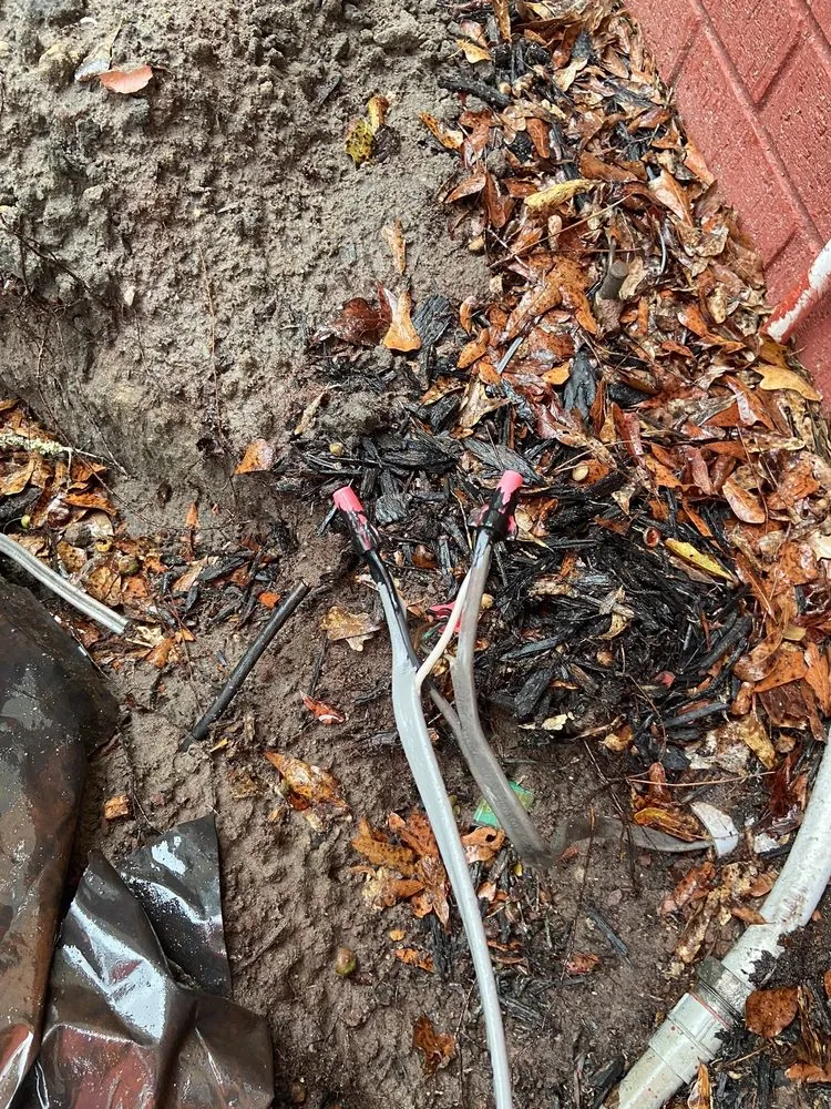 Slide of Davis B C Electric Service