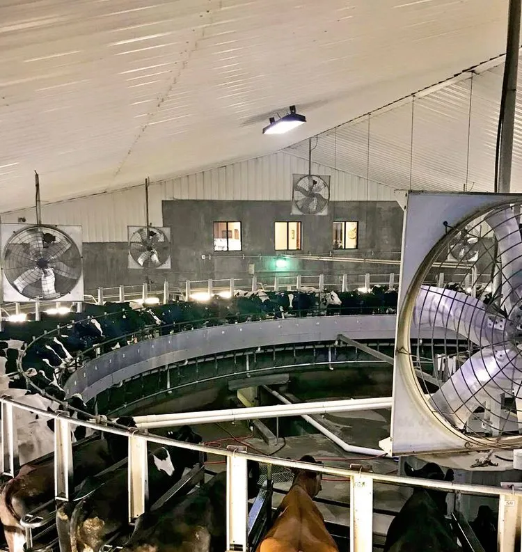 Slide of Davis Electric