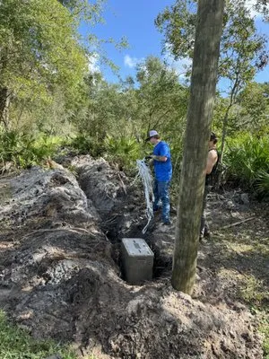 Davis Electric Services