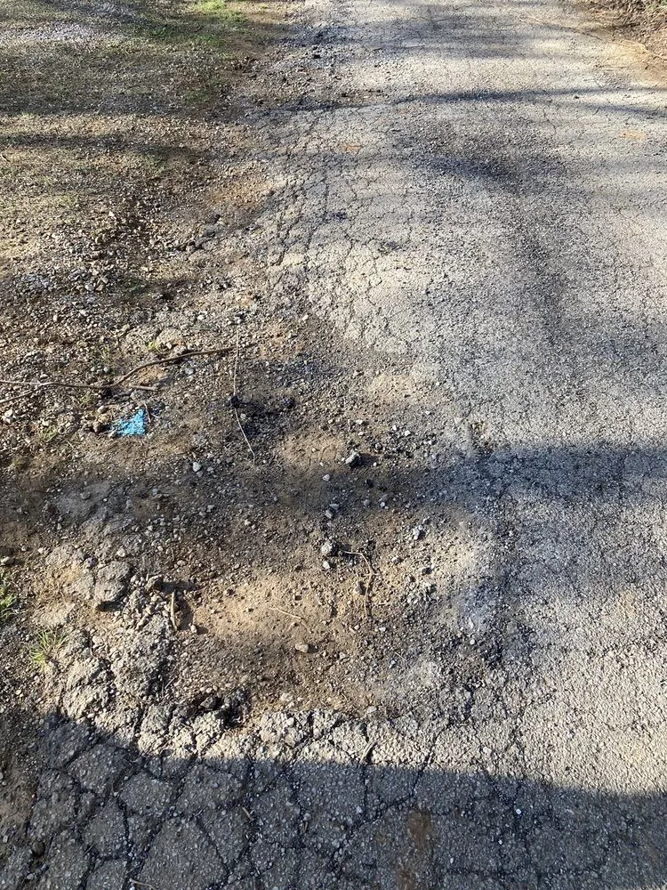 Slide of Davis H Elliot