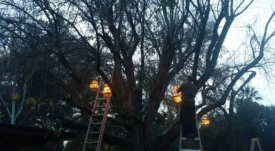 Slide of Dawson Electric