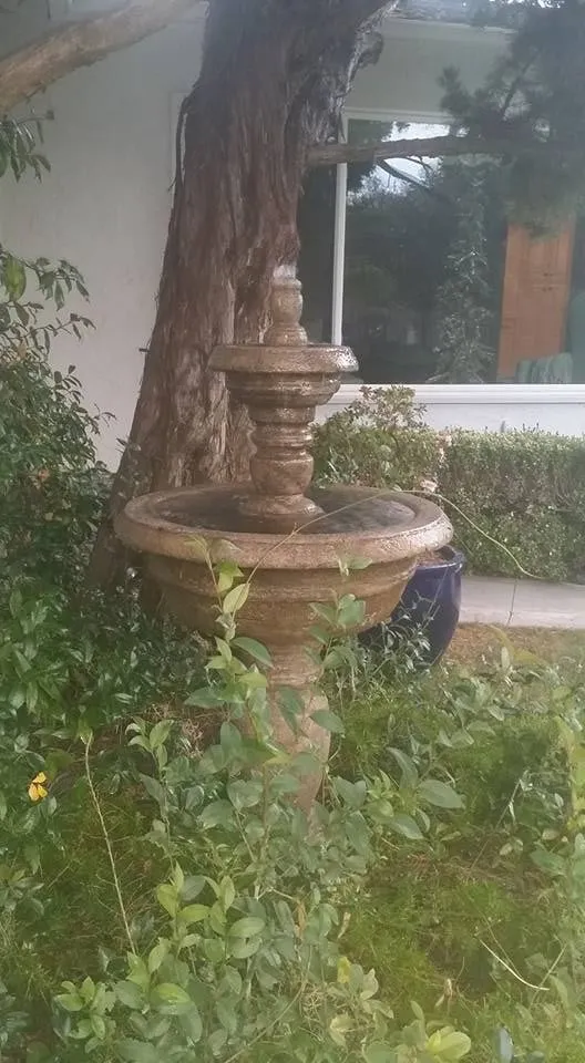 Slide of Dawson Electric