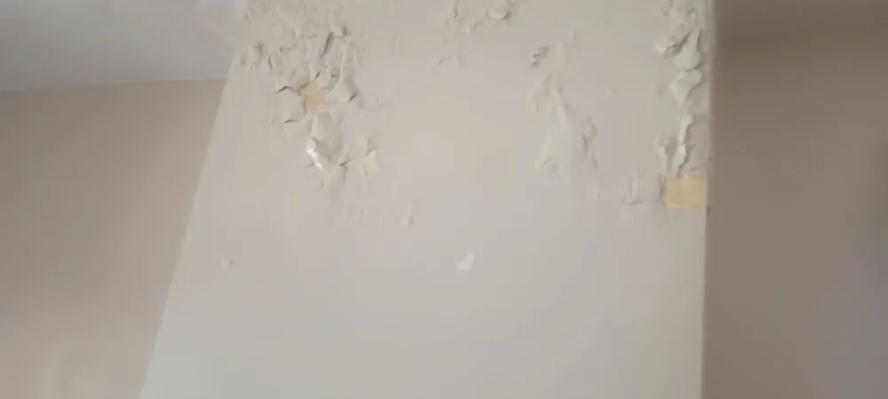 Trusted electrician providing electrical repair in , 