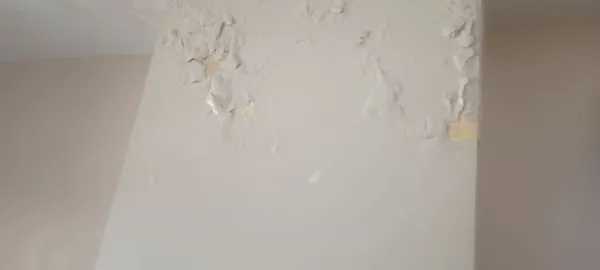 Dayton Strong Construction Logo