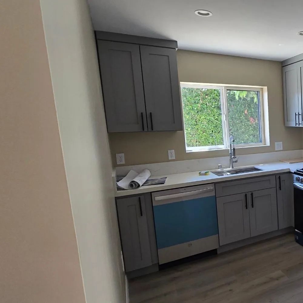 Slide of DC Home Renovation