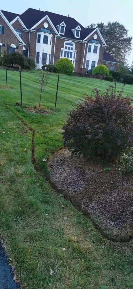 Slide of DC Quantum electrical services