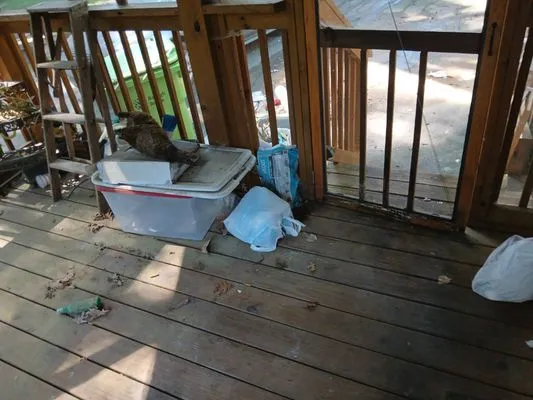 D&D Handyman Services