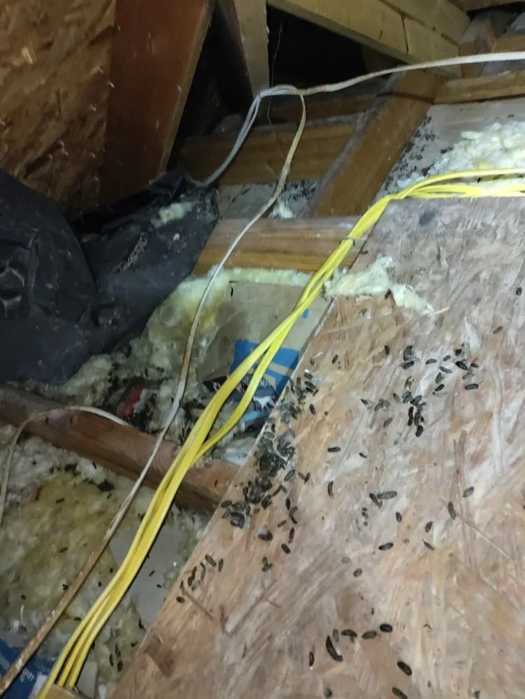 Slide of Dead Electrical Services