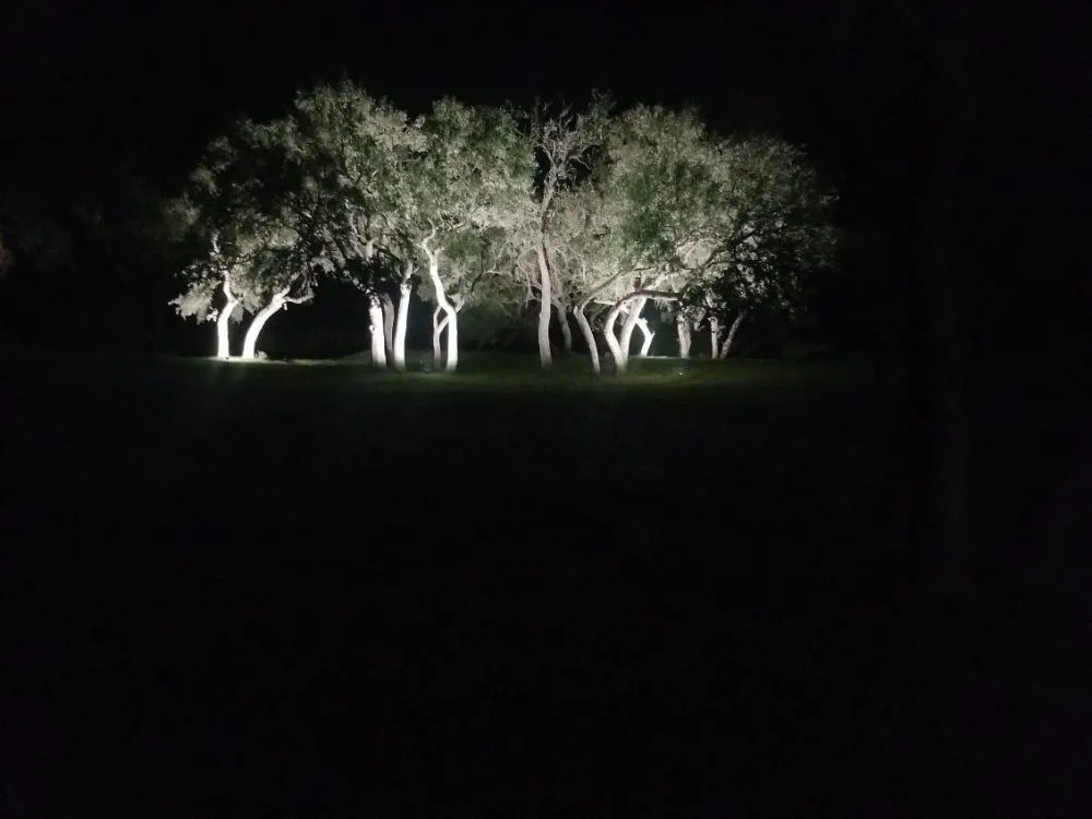 Slide of Deaville's Electric