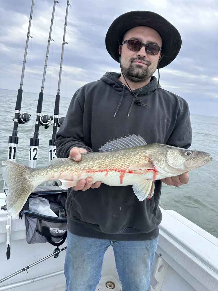 Slide of DEC Electric