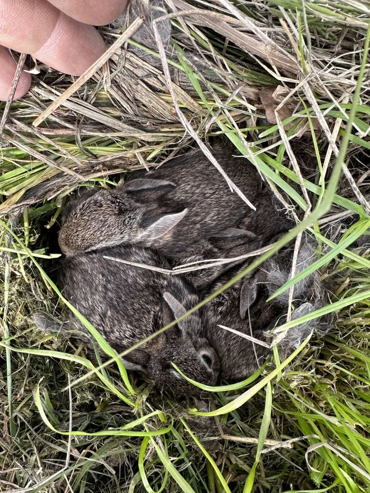 Slide of DEC Electric