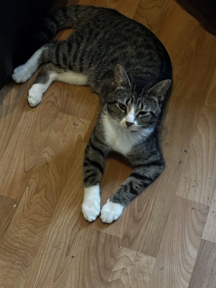 Affordable emergency electrical service service in ,  - Dedicated Technology and Electrical