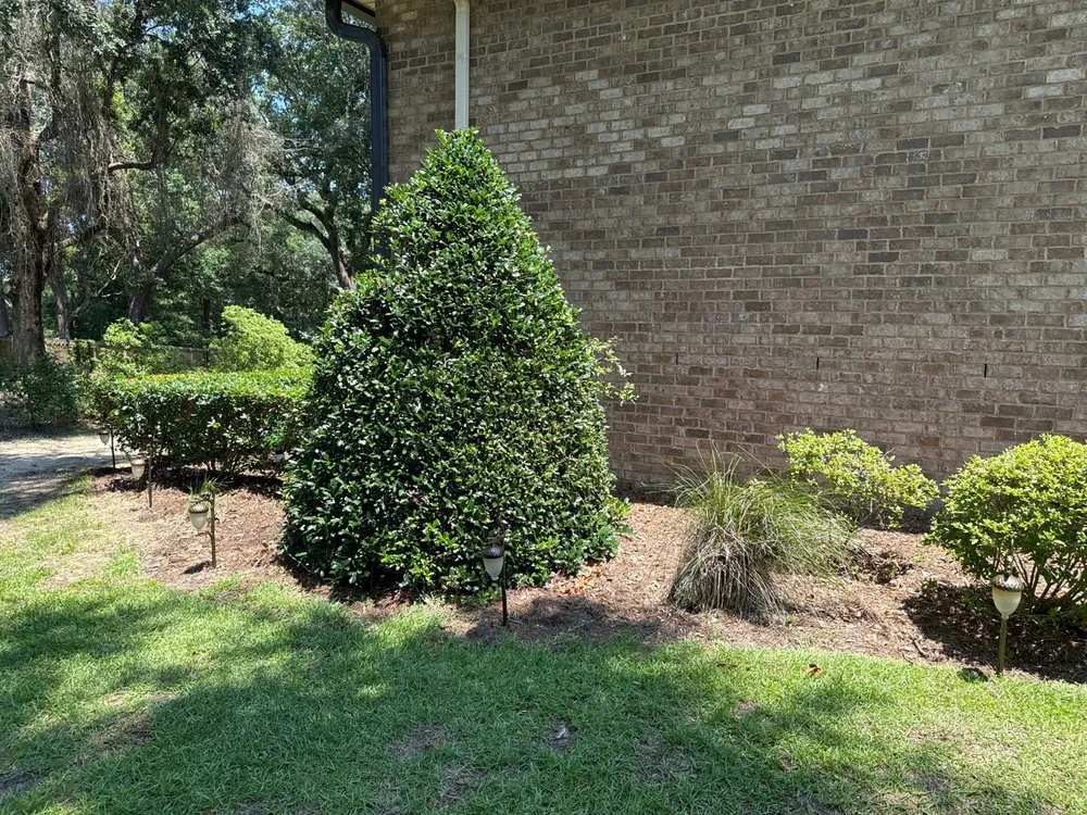 Slide of DeGraaf Electrical Services