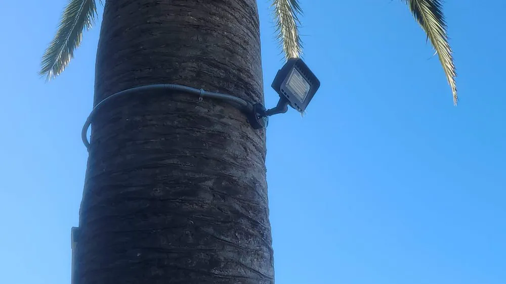 Slide of Dejan Electric