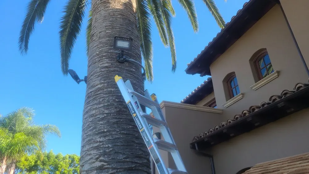 Slide of Dejan Electric