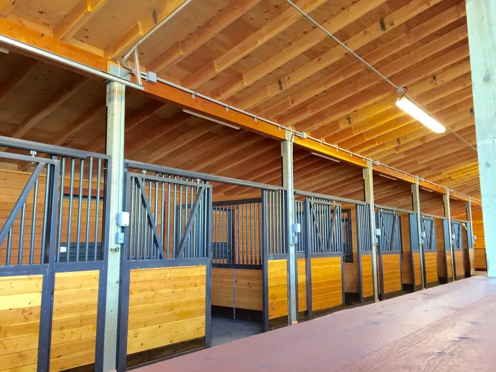 Slide of Dekorte Electric