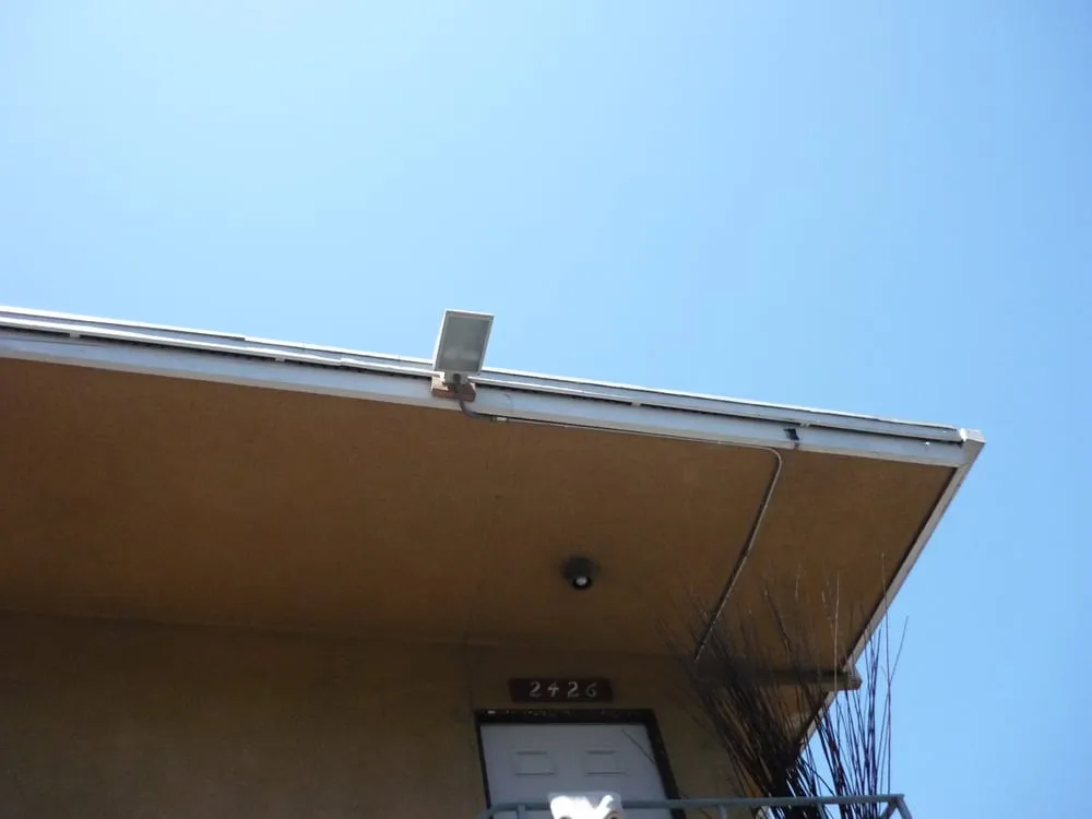 Slide of Delight Electric