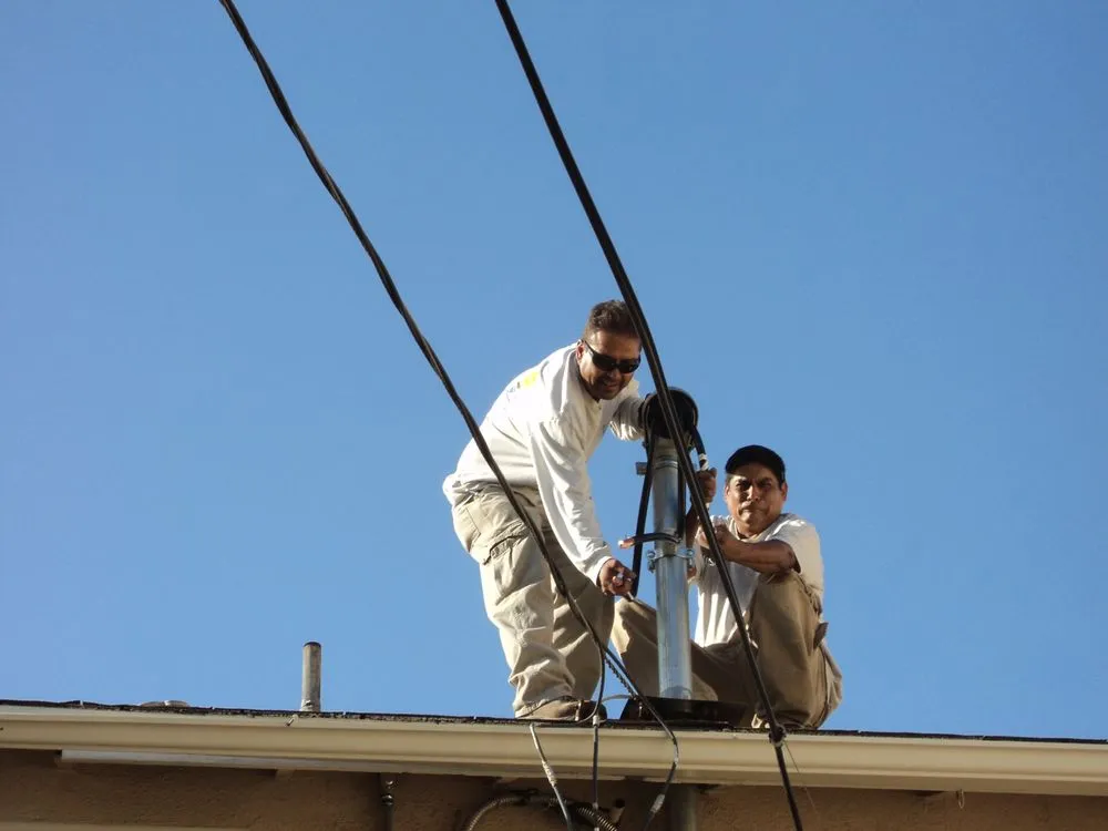 Slide of Delight Electric