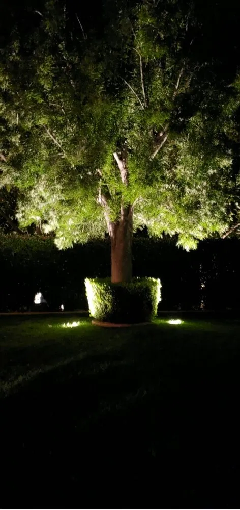 Slide of Dellsite Electric