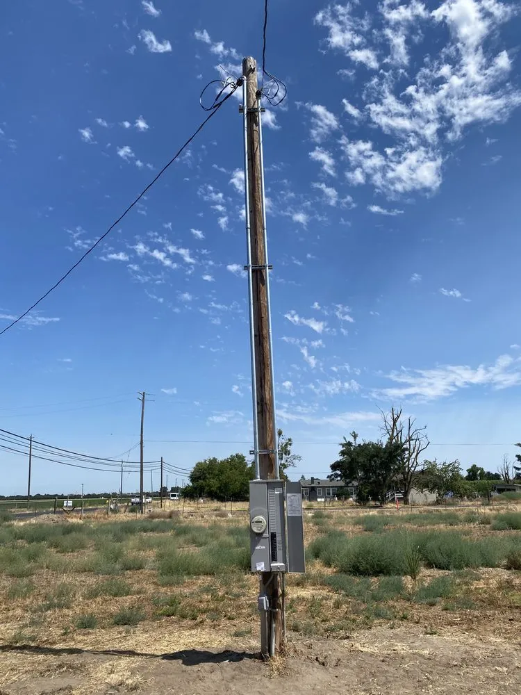 Slide of Delta Dawn Electric