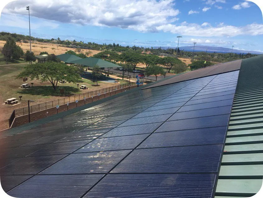 Slide of Delta Diversified Hawaii