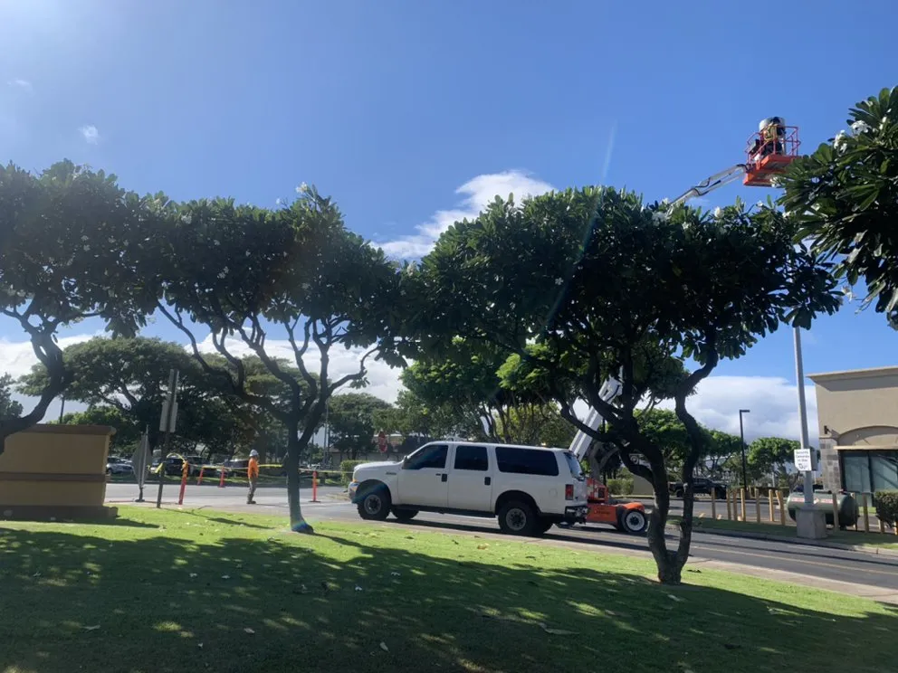 Slide of Delta Diversified Hawaii