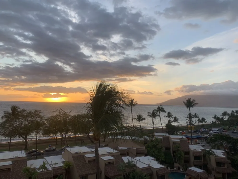 Slide of Delta Diversified Hawaii