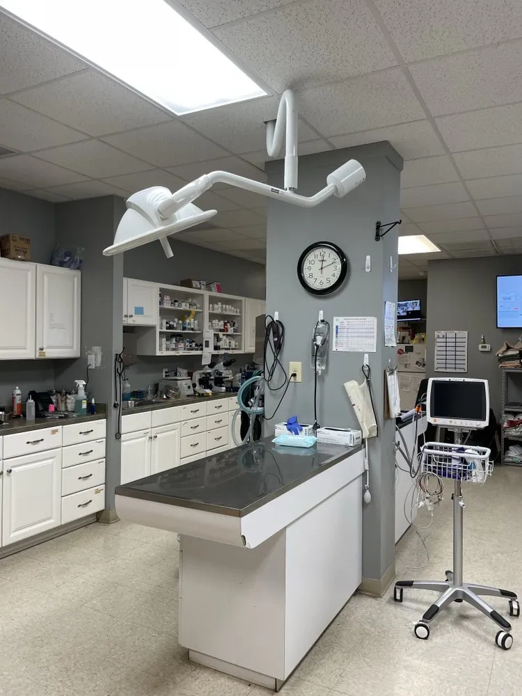 Trusted circuit breaker repair experts serving , - Delta Electric