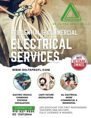 Delta Pro Services Logo