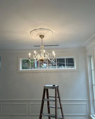 Delthorne Electrical Repair Logo