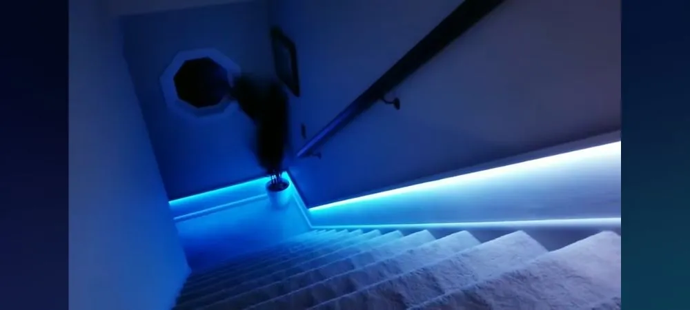 Licensed electrician providing wiring installation in , 