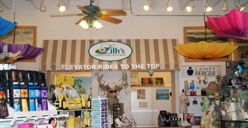 Slide of Denali Enterprise