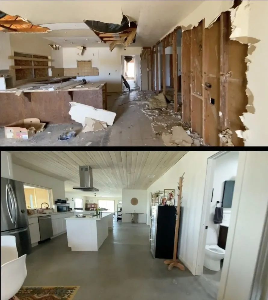 Slide of Desert Flamingo