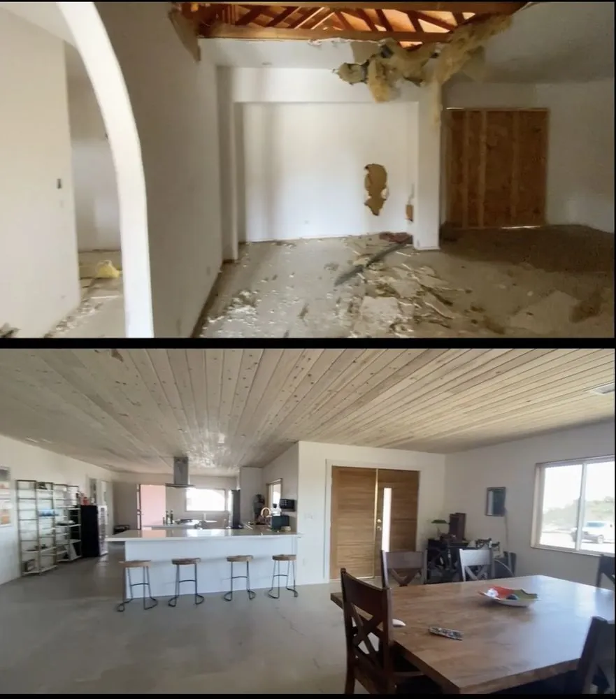 Slide of Desert Flamingo