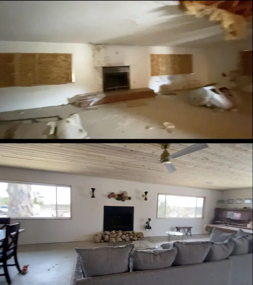 Slide of Desert Flamingo