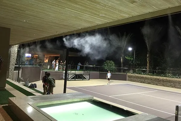 Slide of Desert Palms Electric