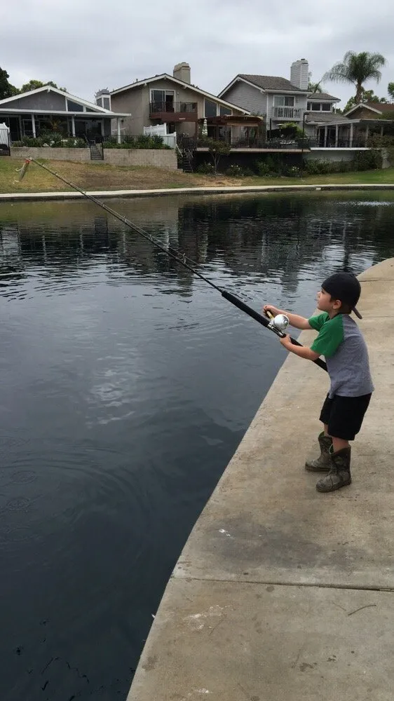 Affordable wiring installation experts serving , - Dew Electric