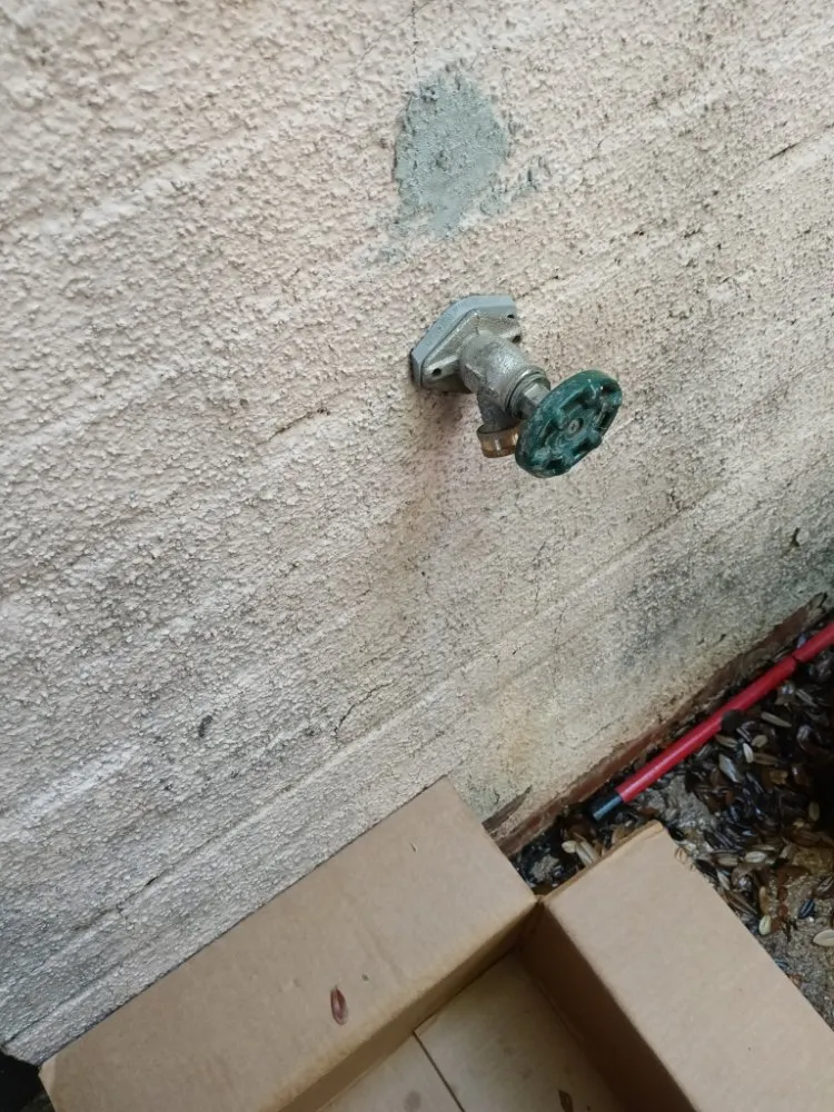 Slide of DFW Pro Vendor